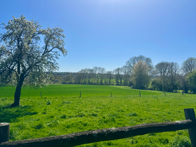 French property for sale in Saint-Calais-du-Désert, Mayenne - €71,600 - photo 10