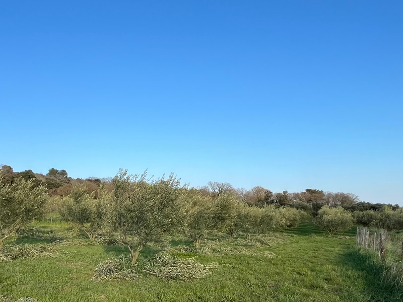 French property for sale in Uzès, Gard - €130,000 - photo 5