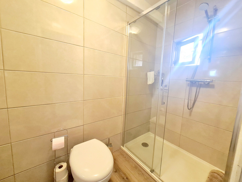 French property for sale in Ambrières-les-Vallées, Mayenne - €36,600 - photo 5