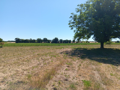 French property for sale in Messé, Deux-Sèvres - €179,950 - photo 8
