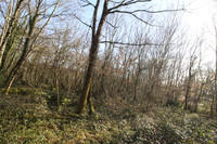 Terrain à vendre à Nieuil, Charente - 20.000 € - photo 8