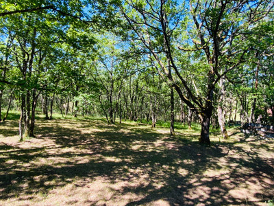 French property for sale in Montignac, Dordogne - €190,800 - photo 9