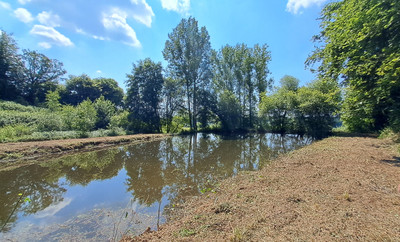 French property for sale in Tinchebray-Bocage, Orne - €30,000 - photo 5