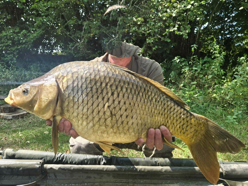 French property for sale in La Croisille-sur-Briance, Haute-Vienne - €124,260 - photo 5