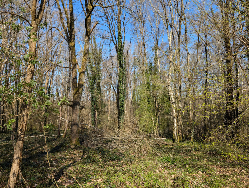 French property for sale in Longny les Villages, Orne - €160,000 - photo 9