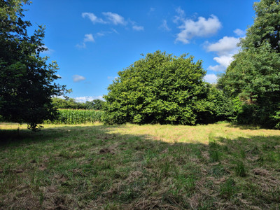 French property for sale in Pont-Melvez, Côtes-d'Armor - €299,999 - photo 6