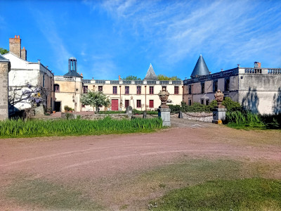 chateau for sale in Deux-Sèvres