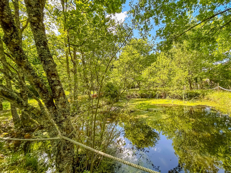 French property for sale in Bergerac, Dordogne - €558,510 - photo 6