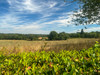 French property for sale in Saint-Mathieu, Haute-Vienne - €224,700 - thumbnail 14