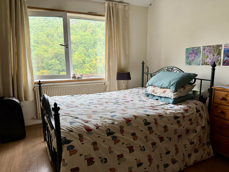 Propriété de ski à vendre -  - 950 000 € - photo 6
