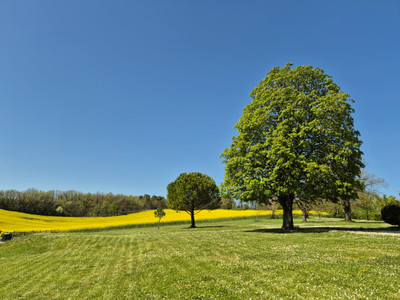 French property for sale in Bouteilles-Saint-Sébastien, Dordogne - €477,000 - photo 5
