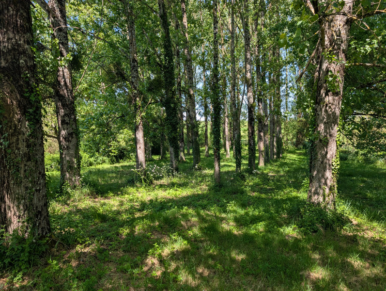 French property for sale in Chevanceaux, Charente-Maritime - €249,000 - photo 9
