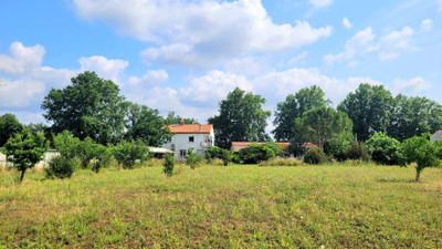 French property for sale in Thuir, Pyrénées-Orientales - €590,000 - photo 7