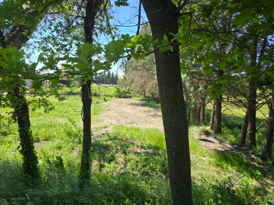 Terrain à vendre à Velleron, Vaucluse, PACA, avec Leggett Immobilier