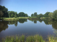 Lacs à vendre à Carbay, Maine-et-Loire - 88.888 € - photo 2