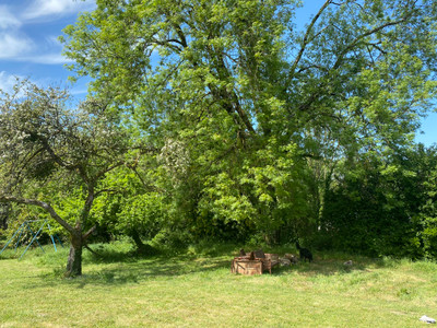 French property for sale in Locarn, Côtes-d'Armor - €119,900 - photo 9