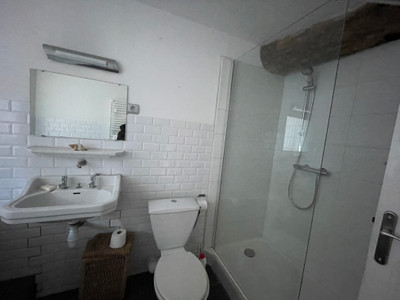 French property for sale in Prats-de-Mollo-la-Preste, Pyrénées-Orientales - €85,000 - photo 14