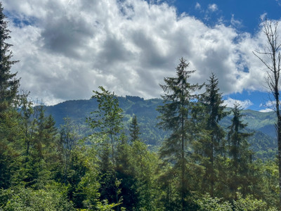 Ski property for sale in Morillon - €649,500 - photo 10