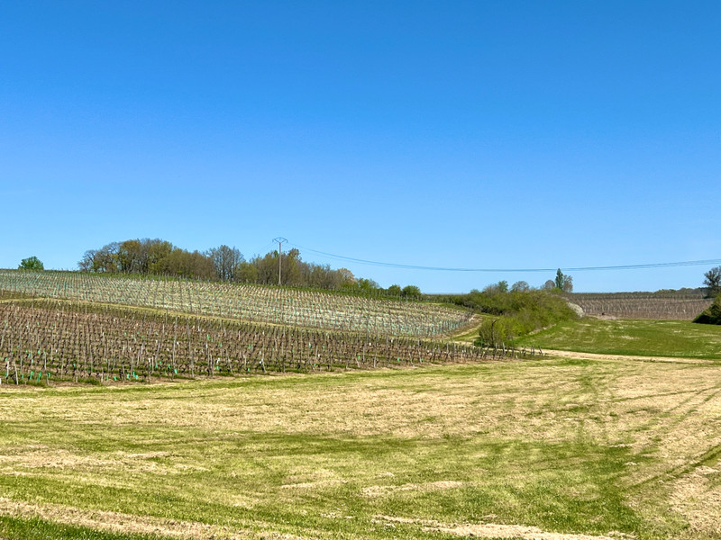 French property for sale in Singleyrac, Dordogne - €167,400 - photo 5